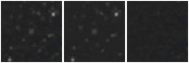 Missing file PGC2176812-custom-montage-W1W2.png