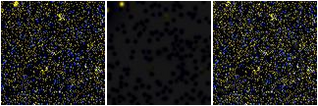 Missing file SDSSJ170033.18+225157.4-custom-montage-FUVNUV.png