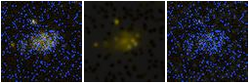 Missing file UGC10808-custom-montage-FUVNUV.png