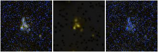Missing file SDSSJ172730.51+622729.0-custom-montage-FUVNUV.png