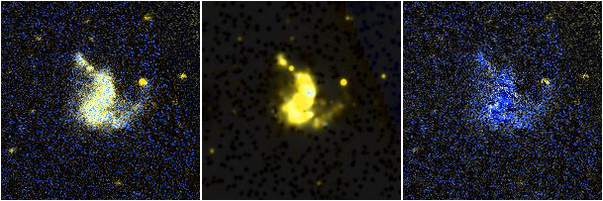 Missing file IC1291-custom-montage-FUVNUV.png