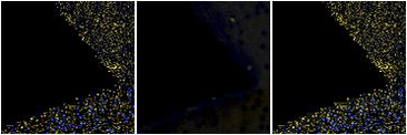 Missing file PGC062075-custom-montage-FUVNUV.png