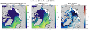 ANN Salinity