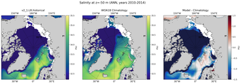 ANN Salinity