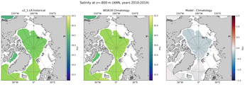 ANN Salinity
