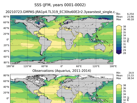 Global Sea Surface Salinity