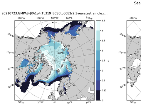 Northern-Hemisphere Sea-Ice Thickness
