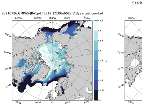 Northern-Hemisphere Sea-Ice Thickness