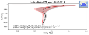 Indian Basin Salinity vs depth