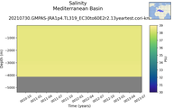 Time series of Mediterranean Basin Salinity vs depth