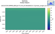 Time series of Indian Basin Salinity vs depth