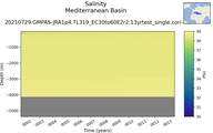 Time series of Mediterranean Basin Salinity vs depth