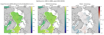 ANN Salinity