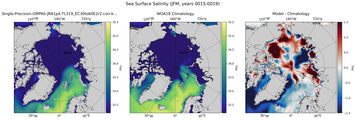 JFM Salinity