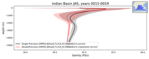 Indian Basin Salinity vs depth