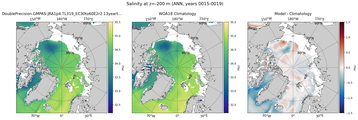ANN Salinity