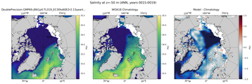 ANN Salinity
