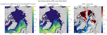 ANN Salinity