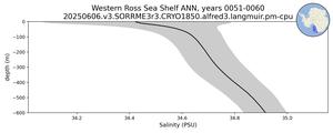 Western Ross Sea Shelf Salinity vs depth
