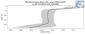 Mediterranean Basin Salinity vs depth