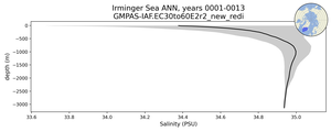 Irminger Sea Salinity vs depth