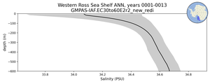 Western Ross Sea Shelf Salinity vs depth