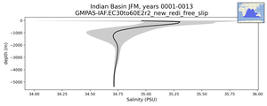 Indian Basin Salinity vs depth