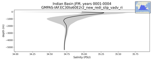 Indian Basin Salinity vs depth