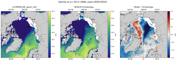 ANN Salinity