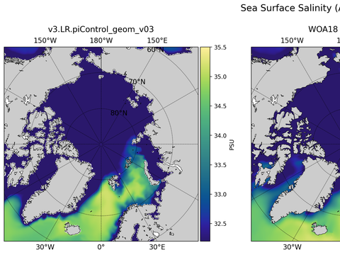 Arctic Salinity