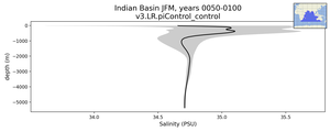 Indian Basin Salinity vs depth