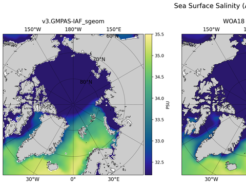 Arctic Salinity