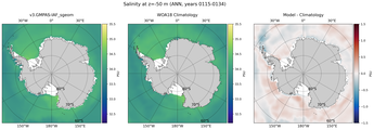 ANN Salinity