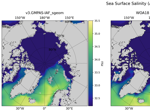 Arctic Salinity