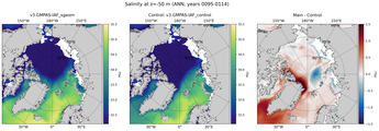 ANN Salinity