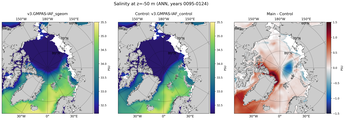 ANN Salinity