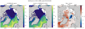 ANN Salinity