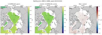 ANN Salinity