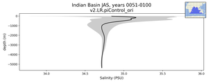 Indian Basin Salinity vs depth