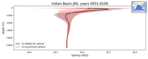 Indian Basin Salinity vs depth