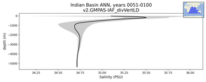 Indian Basin Salinity vs depth