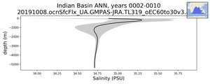 Indian Basin Salinity vs depth