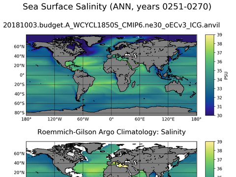 Global Argo Salinity