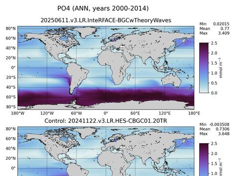 Global Sea Surface Biogeochemistry