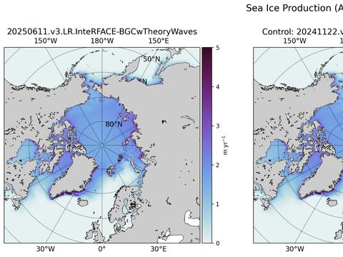 Northern-Hemisphere Sea Ice Production