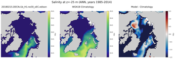 ANN Salinity