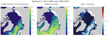 ANN Salinity