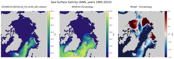 ANN Salinity