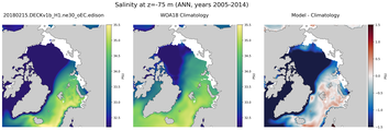 ANN Salinity