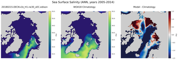 ANN Salinity